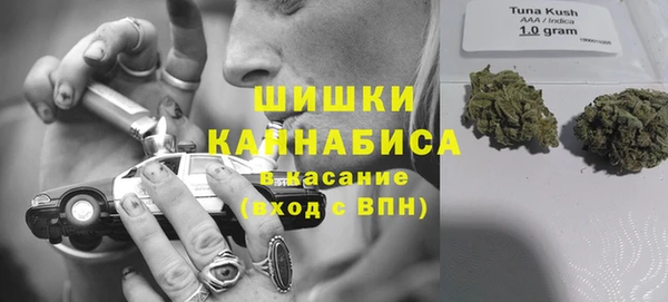 гидра Алексин