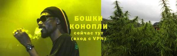 ПСИЛОЦИБИНОВЫЕ ГРИБЫ Алзамай