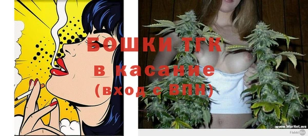 ПСИЛОЦИБИНОВЫЕ ГРИБЫ Алзамай